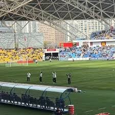 博洛尼亚在欧联杯的征程与意甲球队的未来展望